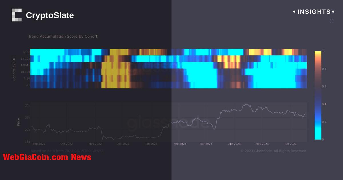 Tin tức BlackRock ETF có thể đã khởi động quá trình tích lũy Bitcoin