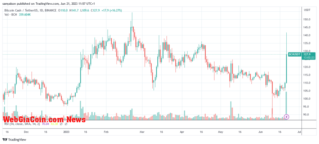 Bitcoin Cash daily chart