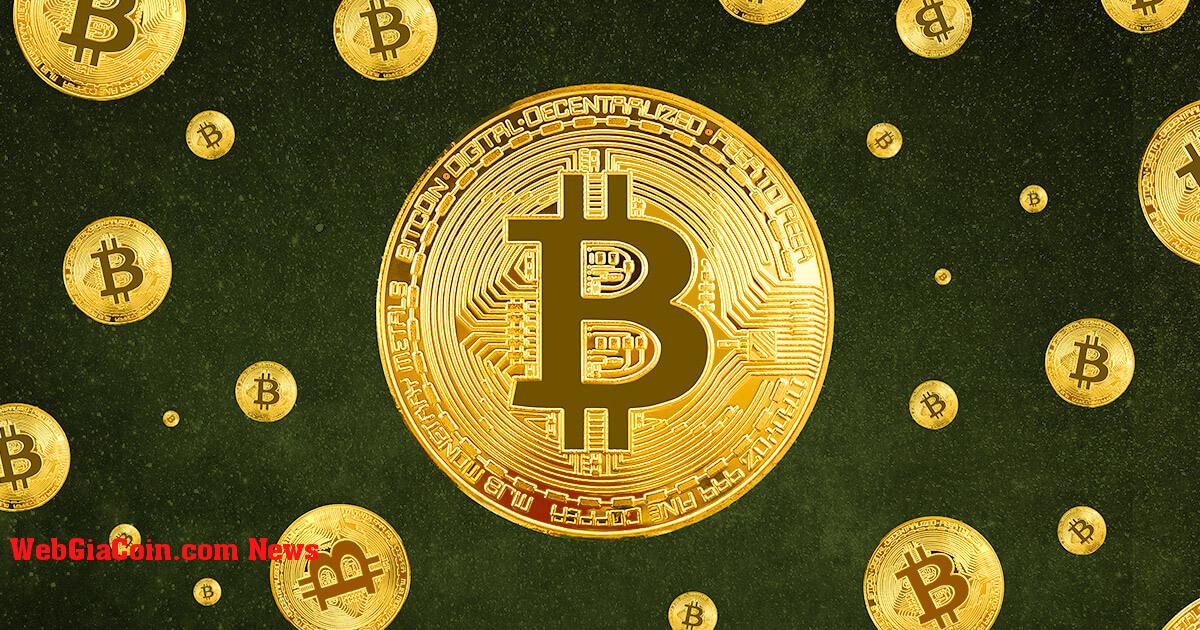 Nguồn cung Bitcoin kém thanh khoản đạt mức cao nhất mọi thời đại khi hodler tiếp tục tích lũy