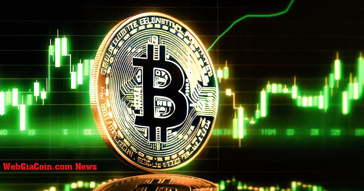 Các công cụ giữ Bitcoin ngắn hạn báo hiệu động lực thị trường tích cực khi BTC phá vỡ $30K