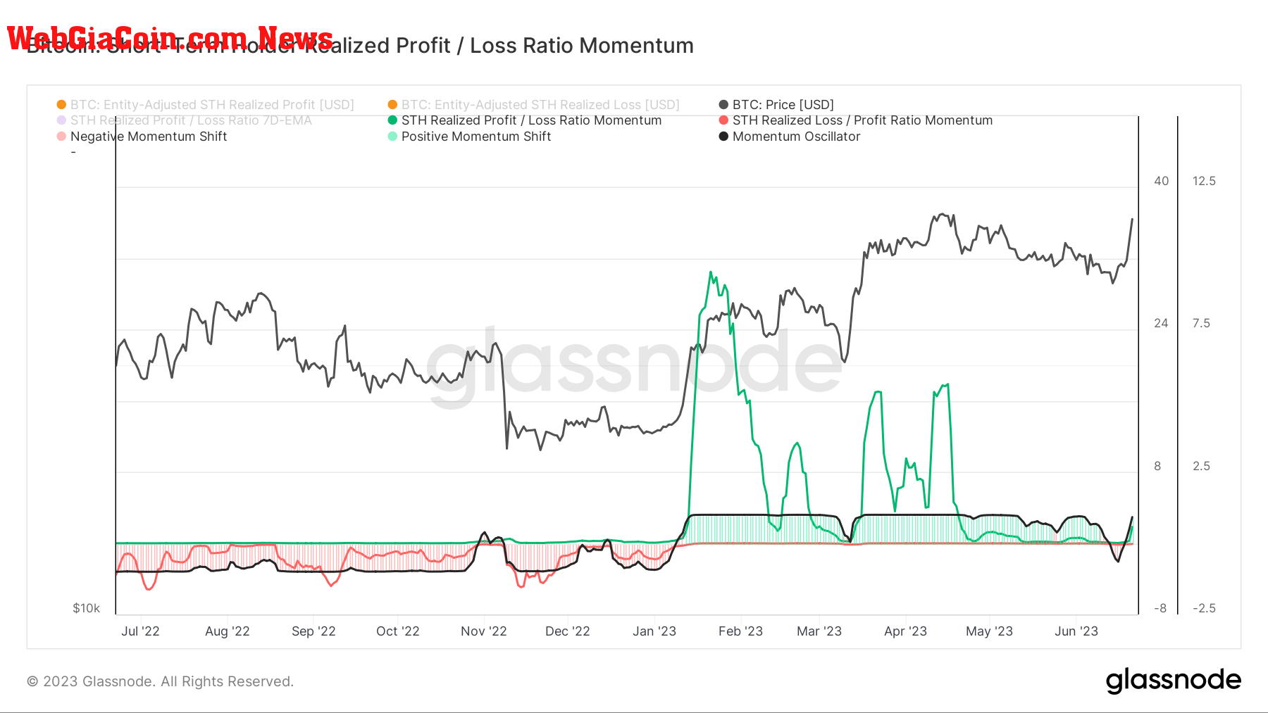 short term holder 1 year profit loss momentum