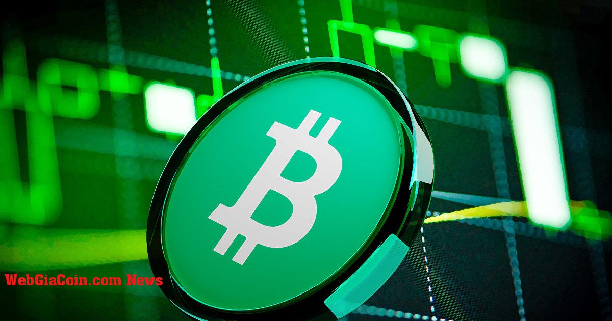 Bitcoin Cash đã biến động 108% trong tuần qua sau khi EDX Markets mở cửa