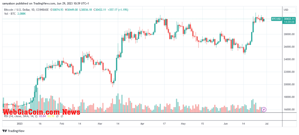 Bitcoin daily chart YTD