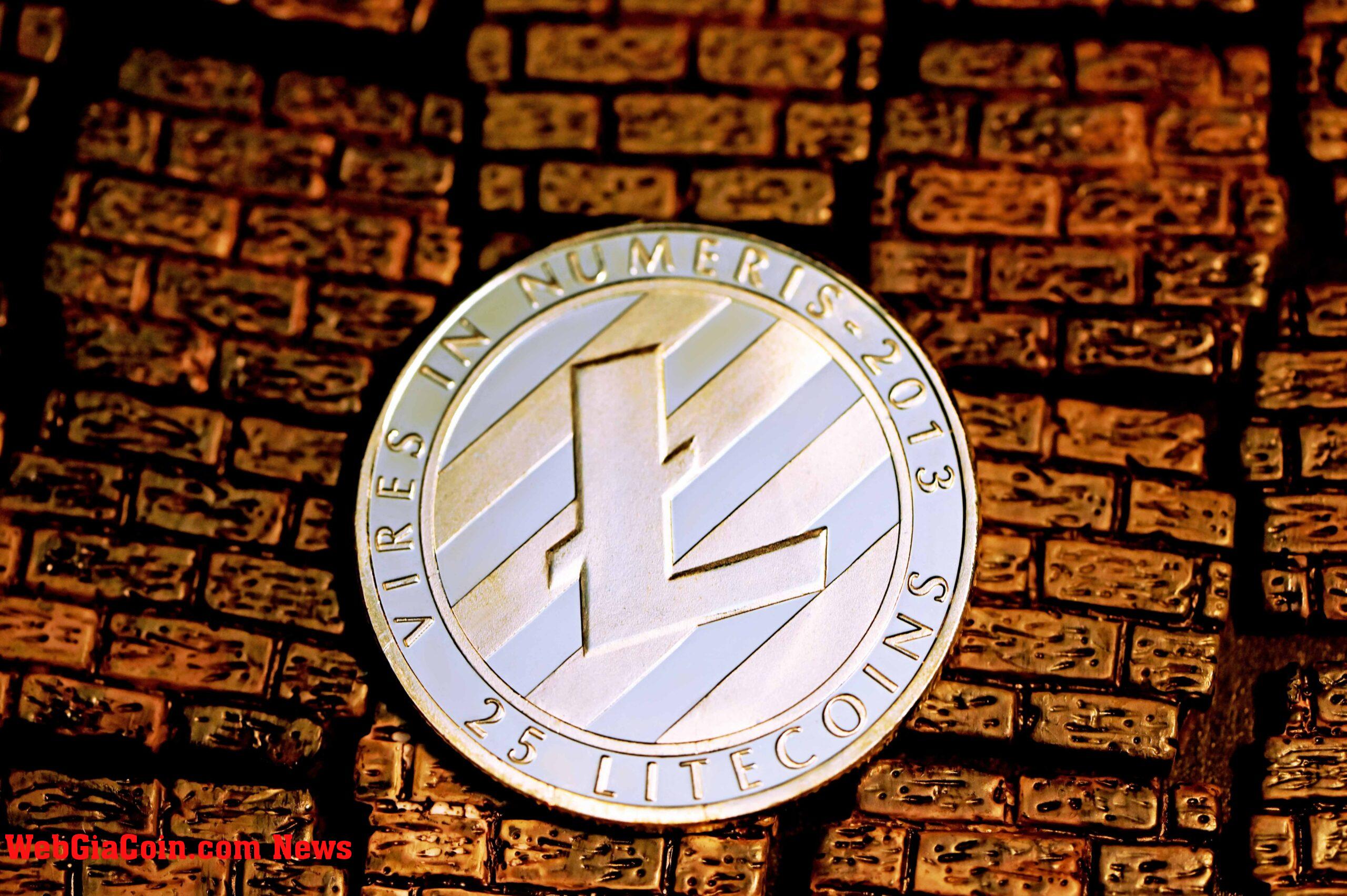 Tín hiệu giảm giá Litecoin trong lịch sử tắt, sự điều chỉnh sắp đến?