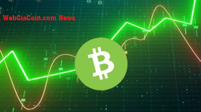 Bitcoin Cash (BCH) ghi nhận mức tăng 21% - Nó tồn tại được bao lâu?