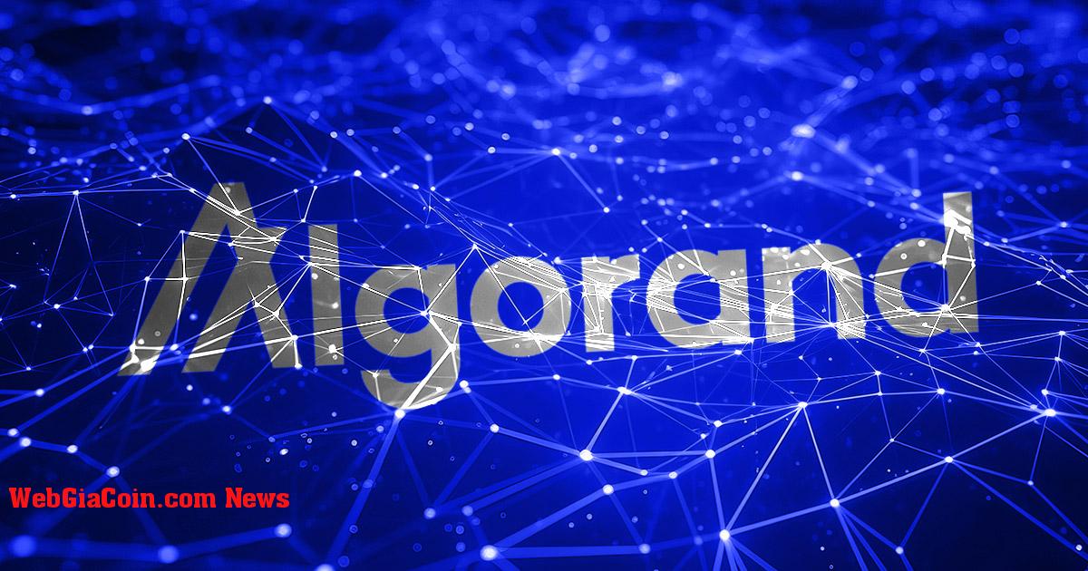 Algorand giao thức DeFi lớn nhất Algofi ngừng hoạt động