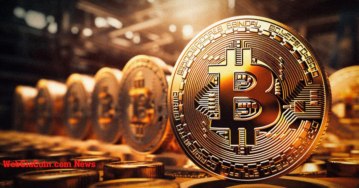 Doanh thu từ máy khai thác bitcoin ổn định khi nhu cầu Chữ khắc giảm dần