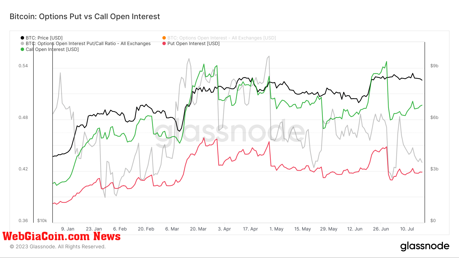 put call options open interest