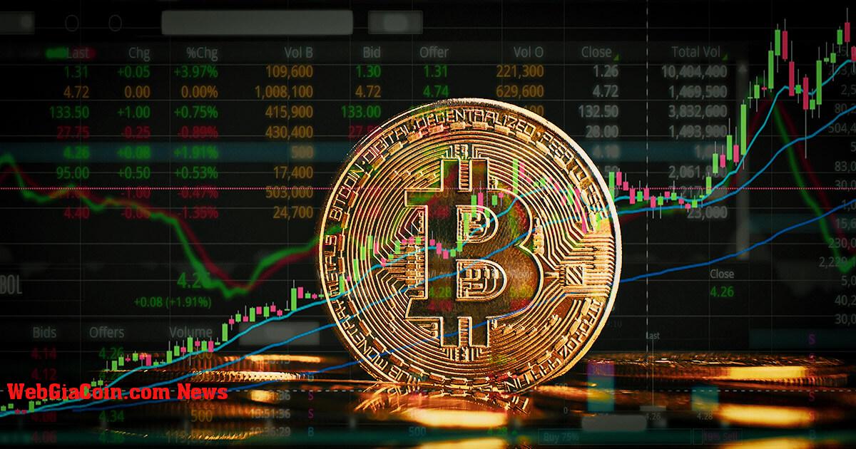 Lợi nhuận chưa thực hiện tăng cho thấy thị trường Bitcoin lạc quan hơn