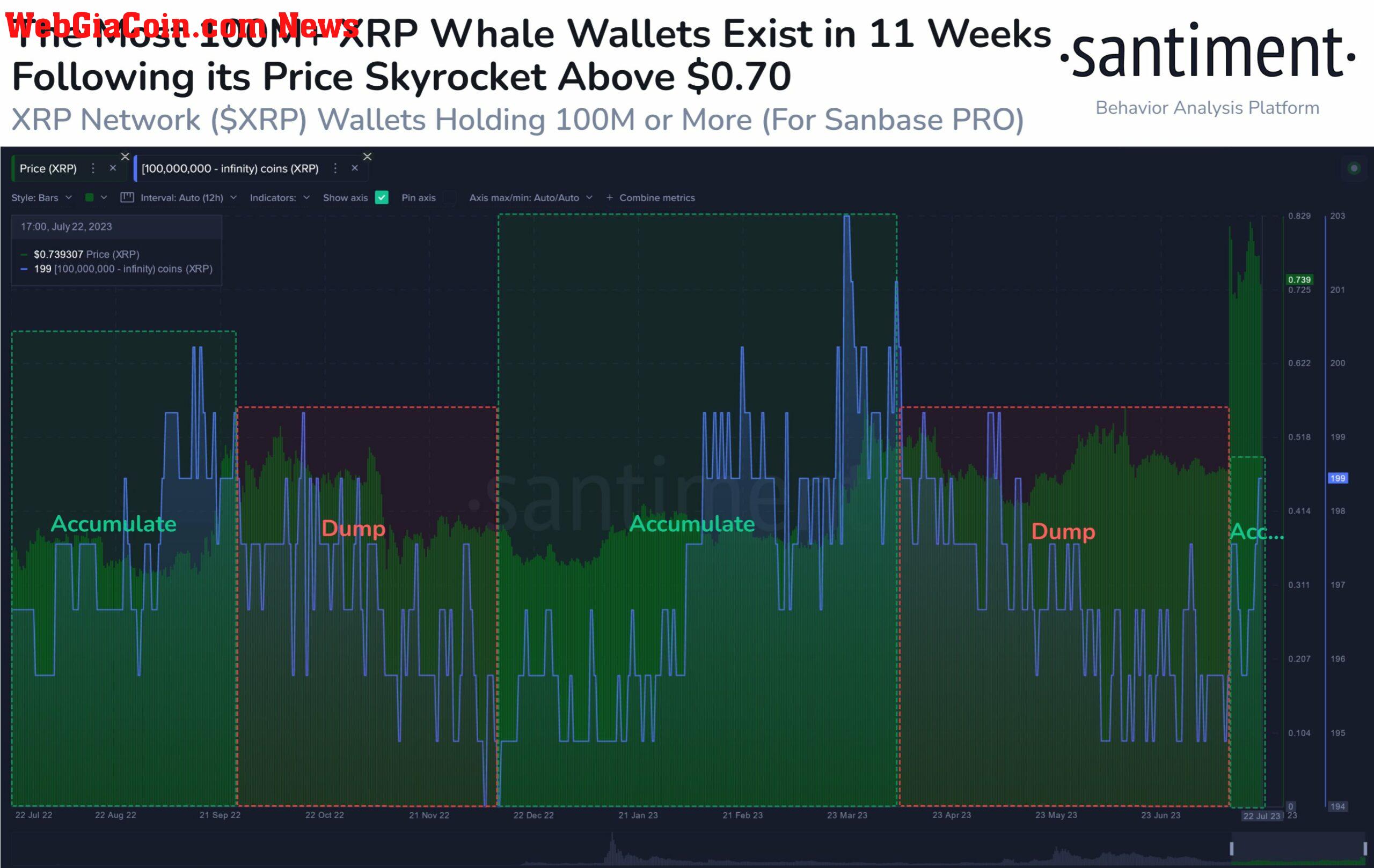 XRP whales 