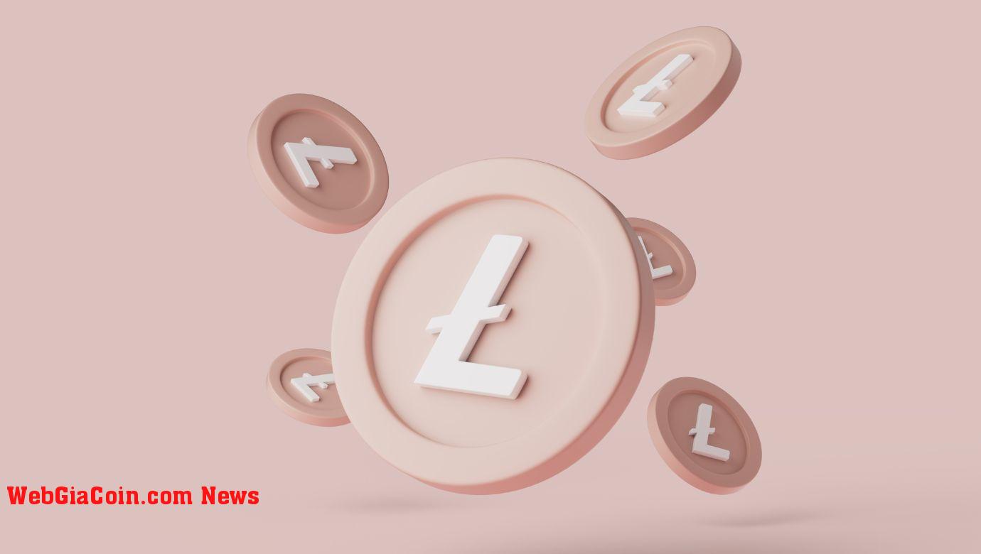 Tỷ lệ băm Litecoin của Binance Pool giảm 50%: Điều gì tiếp theo?