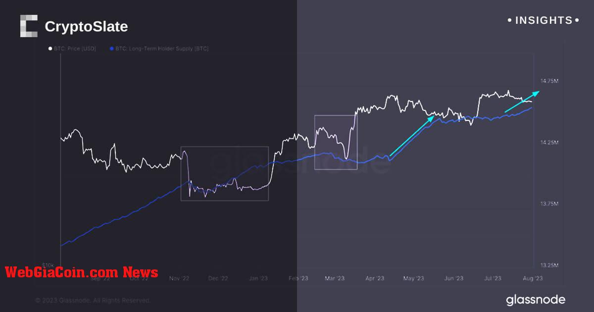 Giải mã chu kỳ 155 ngày: Phân tích các công cụ giữ Bitcoin dài hạn và xu hướng thị trường