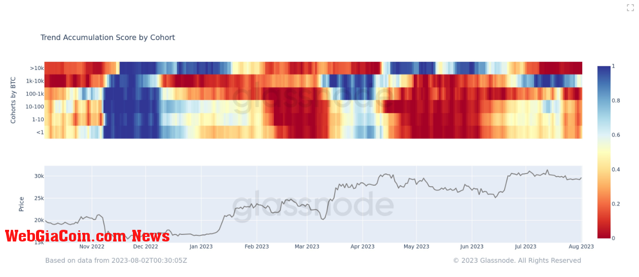 Accumulation by cohort: (Source: Glassnode)