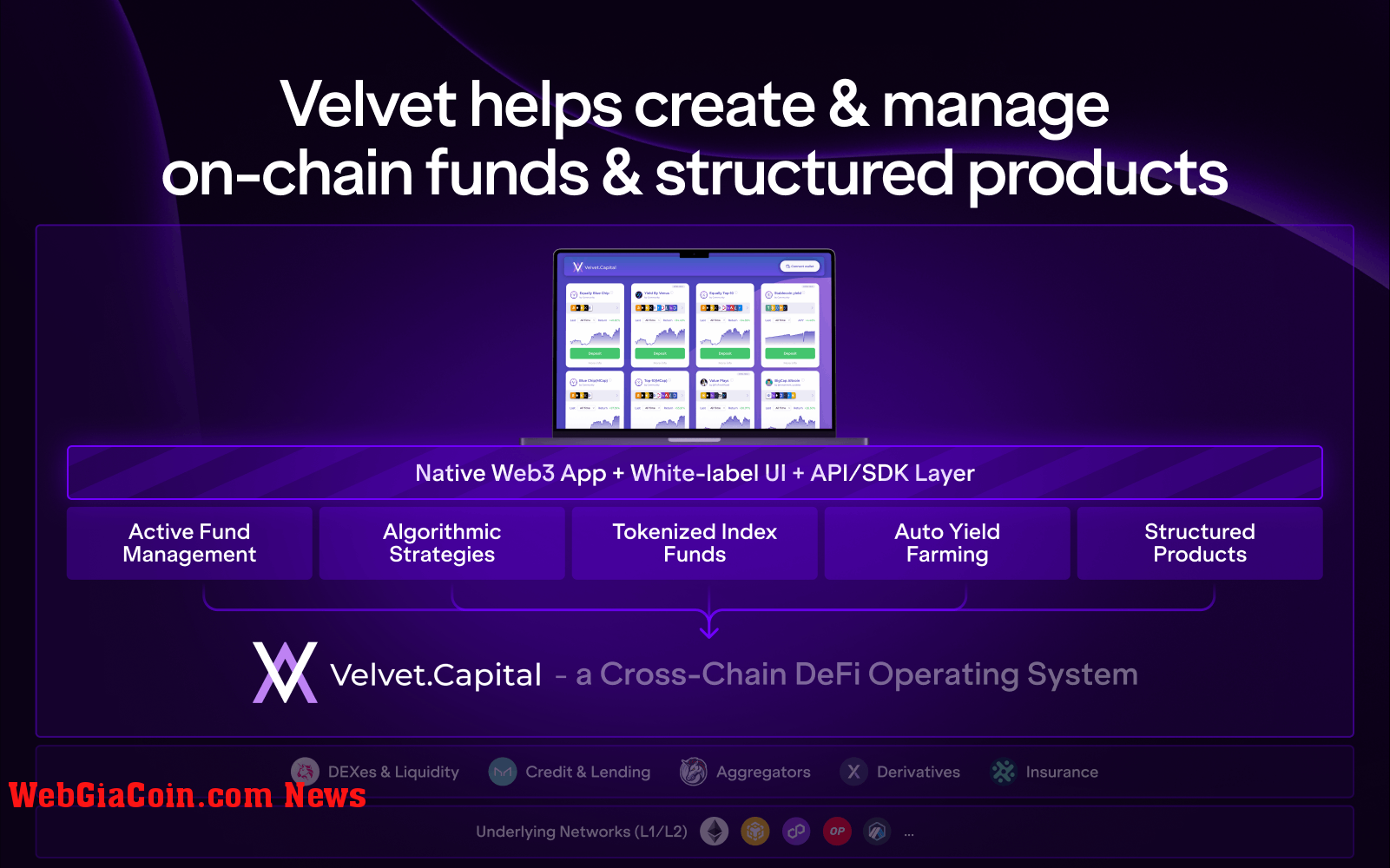 Velvet enables cross-chain DeFi operations for asset managers. Source: Velvet Capital