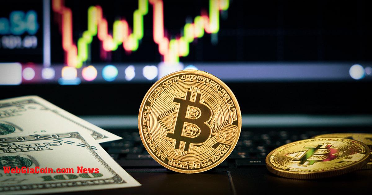 Làm thế nào những người giữ ngắn hạn giữ giá Bitcoin ổn định nhưng bị hạn chế