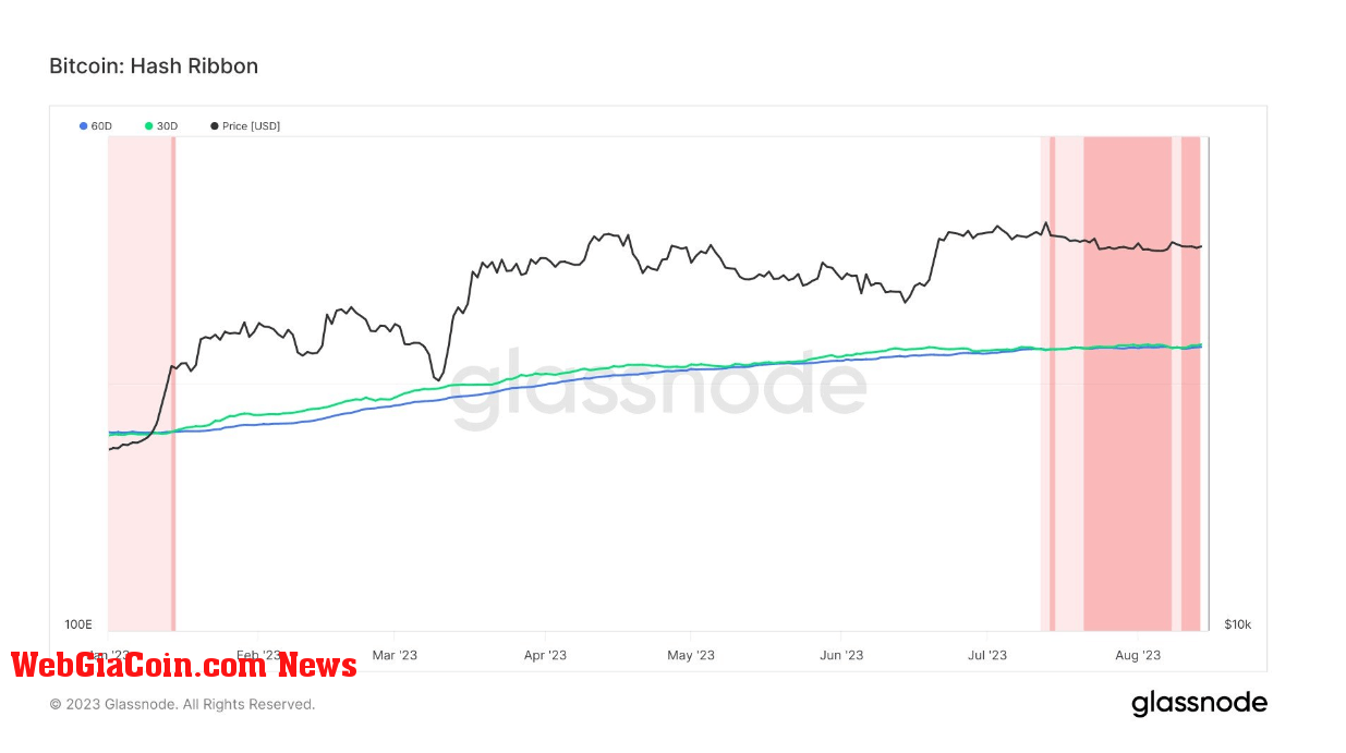Hash Ribbon: (Source: Glassnode)