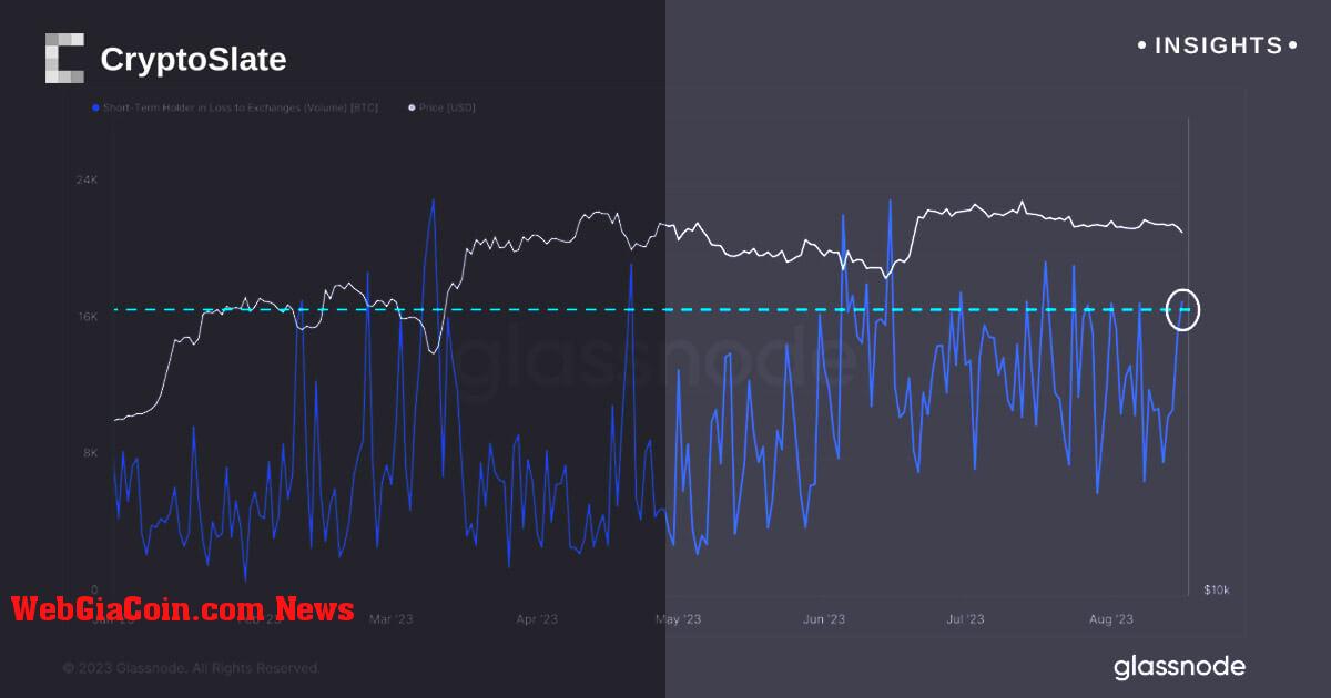 Các nhà đầu tư ngắn hạn bitcoin đầu hàng dưới áp lực thị trường