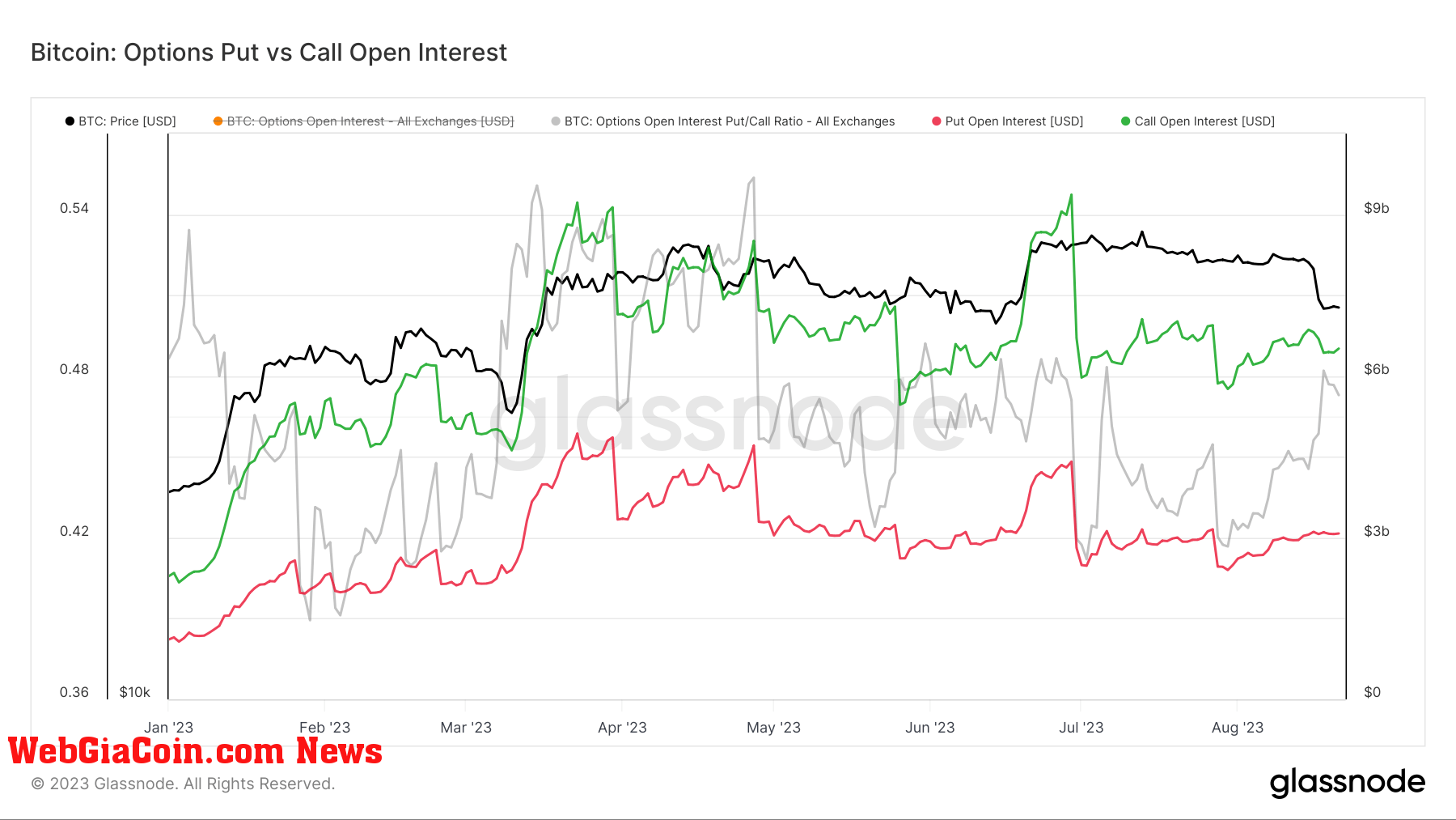 open interest options puts vs calls ytd