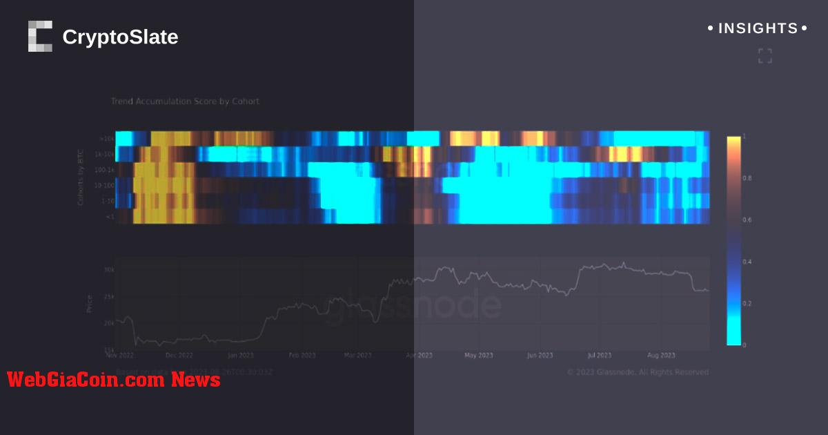 Tích lũy bitcoin chậm lại trong bối cảnh thị trường tháng 8 suy thoái