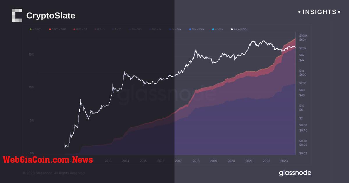 Phân phối tài sản bitcoin nghiêng về phân cấp khi các nhà đầu tư nhỏ dẫn đầu