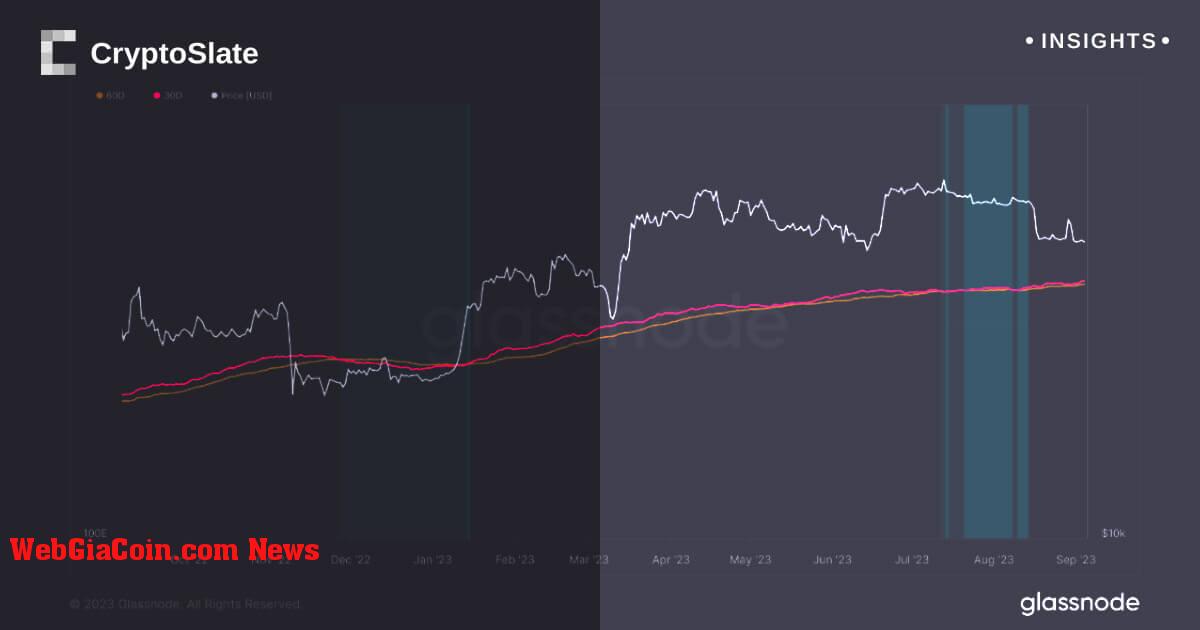 Cân bằng máy khai thác bitcoin phản ánh xu hướng giảm tỷ lệ băm giảm, khiến thị trường thận trọng