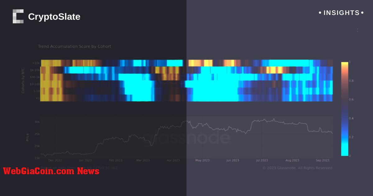 Cá voi bitcoin lật ngược kịch bản, tích lũy khi những người khác phân phối tín hiệu đáy thị trường tiềm năng