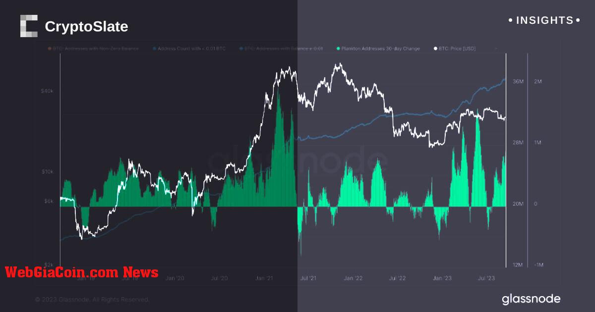 Kỷ lục biến động khi các nhà đầu tư vi mô Bitcoin đạt mức cao nhất mọi thời đại