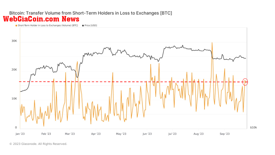 Short Term Holder Loss: (Source: Glassnode)