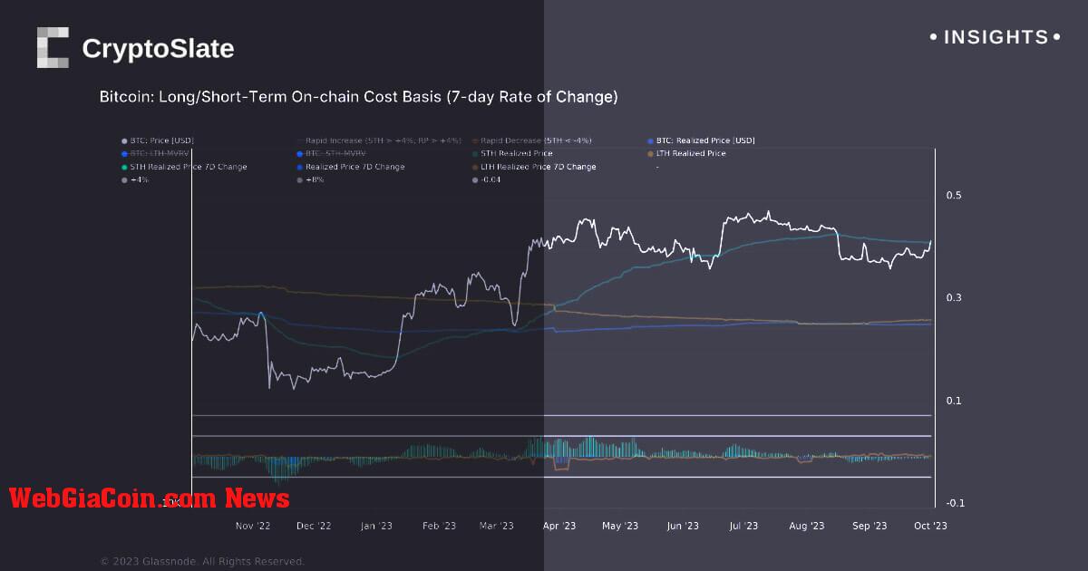 Bitcoin vững chắc trên cơ sở chi phí giữ ngắn hạn phản ánh niềm tin mạnh mẽ của nhà đầu tư