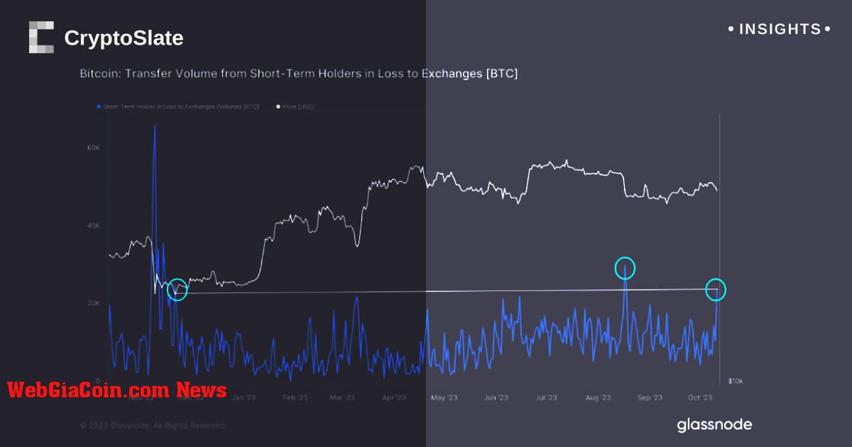 Việc bán bitcoin bởi các công ty giữ ngắn hạn tăng giá nhanh chóng trong bối cảnh thị trường lo ngại, dữ liệu cho thấy mức lỗ lớn vào năm 2023