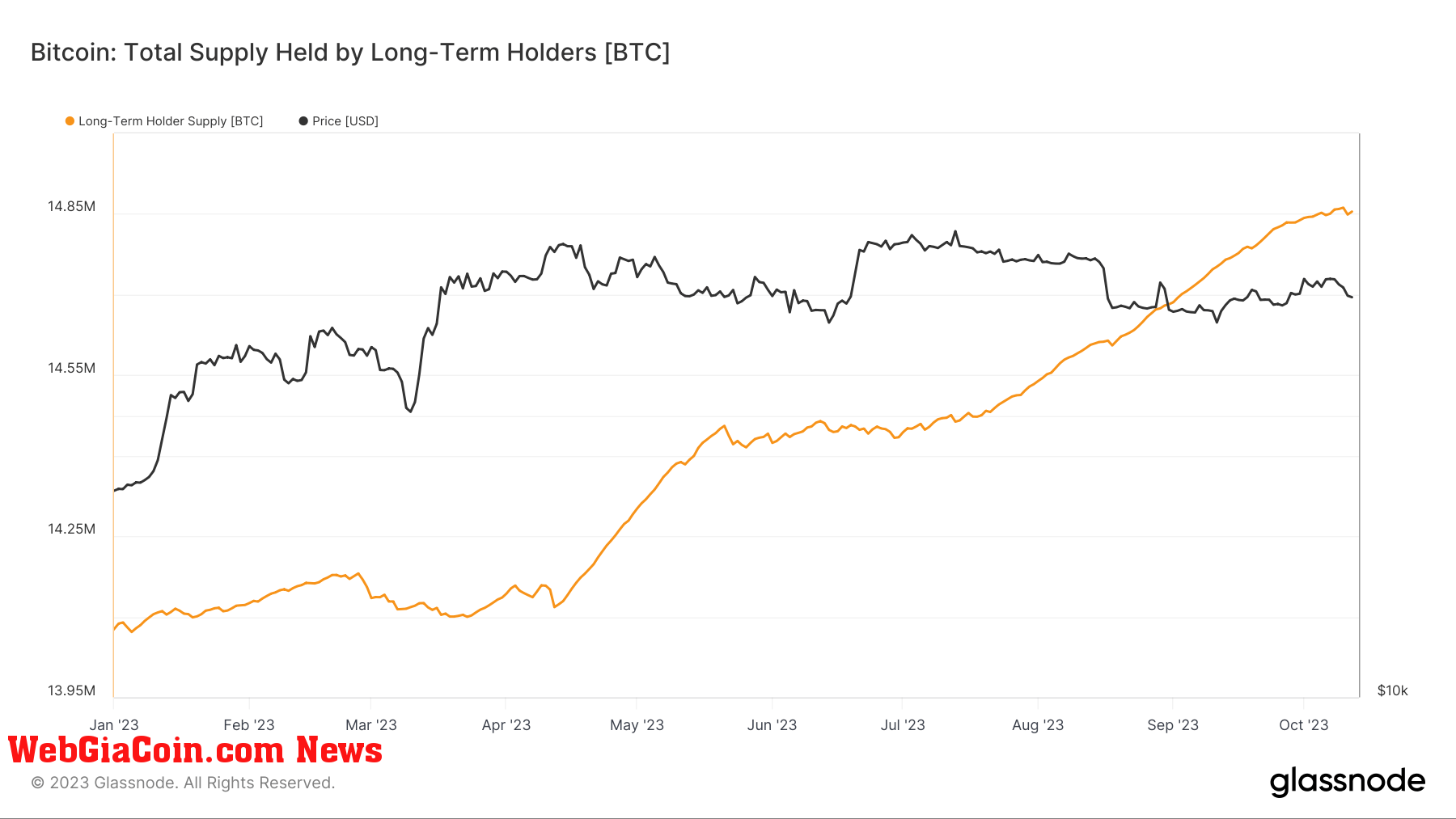 bitcoin long term holder supply ytd