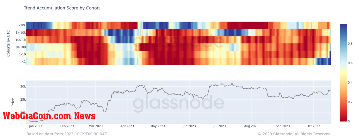 Accumulation Trend Score: (Source: Glassnode)