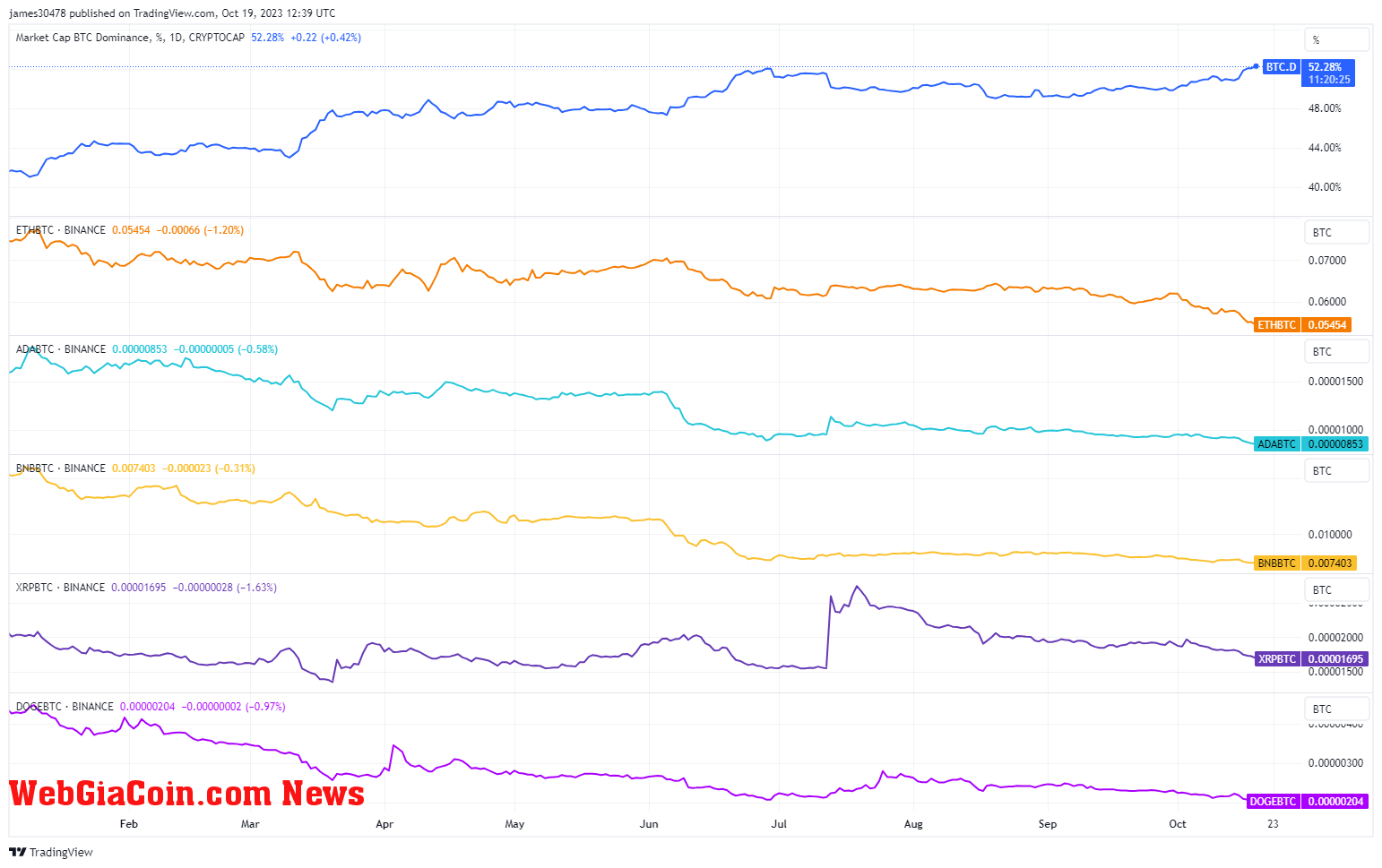 Bitcoin Dominance: (Source: Trading View)