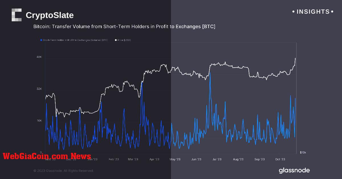 Các nhà giữ ngắn hạn đổ xô bán Bitcoin trong bối cảnh thị trường bị bơm