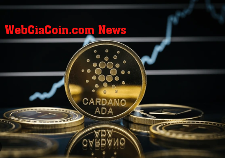 Biến động lợi nhuận của Cardano: 1,7 triệu địa chỉ đạt mức cao nhất trong 2 năm