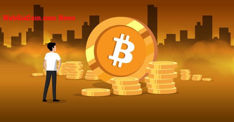 Bitcoin Spot ETF có thể thu hút đủ vốn không? các chuyên gia về điều gì sẽ dẫn đến ATH