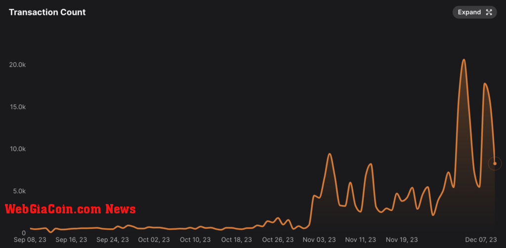 BEAM active addresses