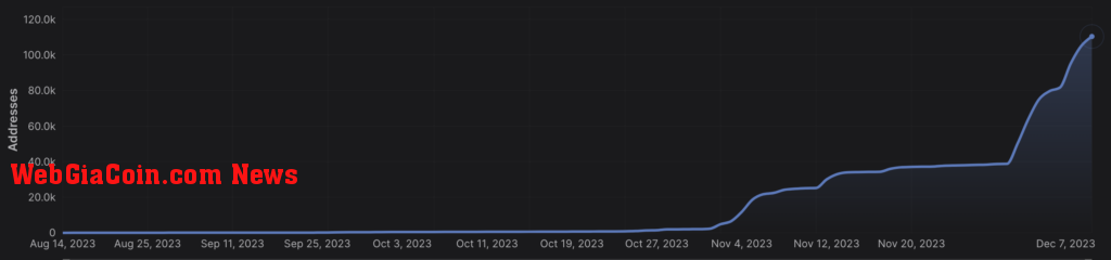 BEAM total addresses