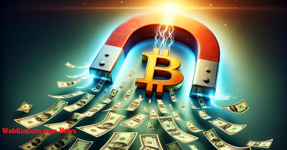 Vốn hóa thị trường bitcoin tăng thêm 40 tỷ đô la khi giá BTC cố gắng lấy lại 43 nghìn đô la