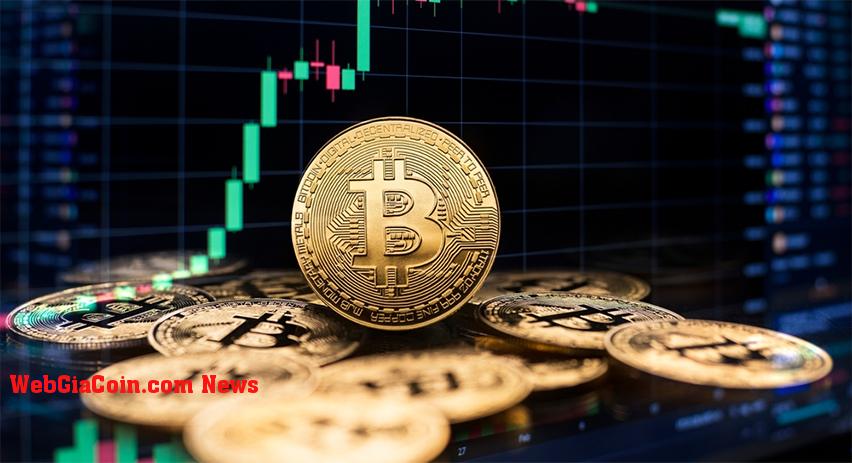 Michael Saylor của MicroStrategy gọi Bitcoin là tài sản cấp tổ chức có giá trị 1 triệu USD