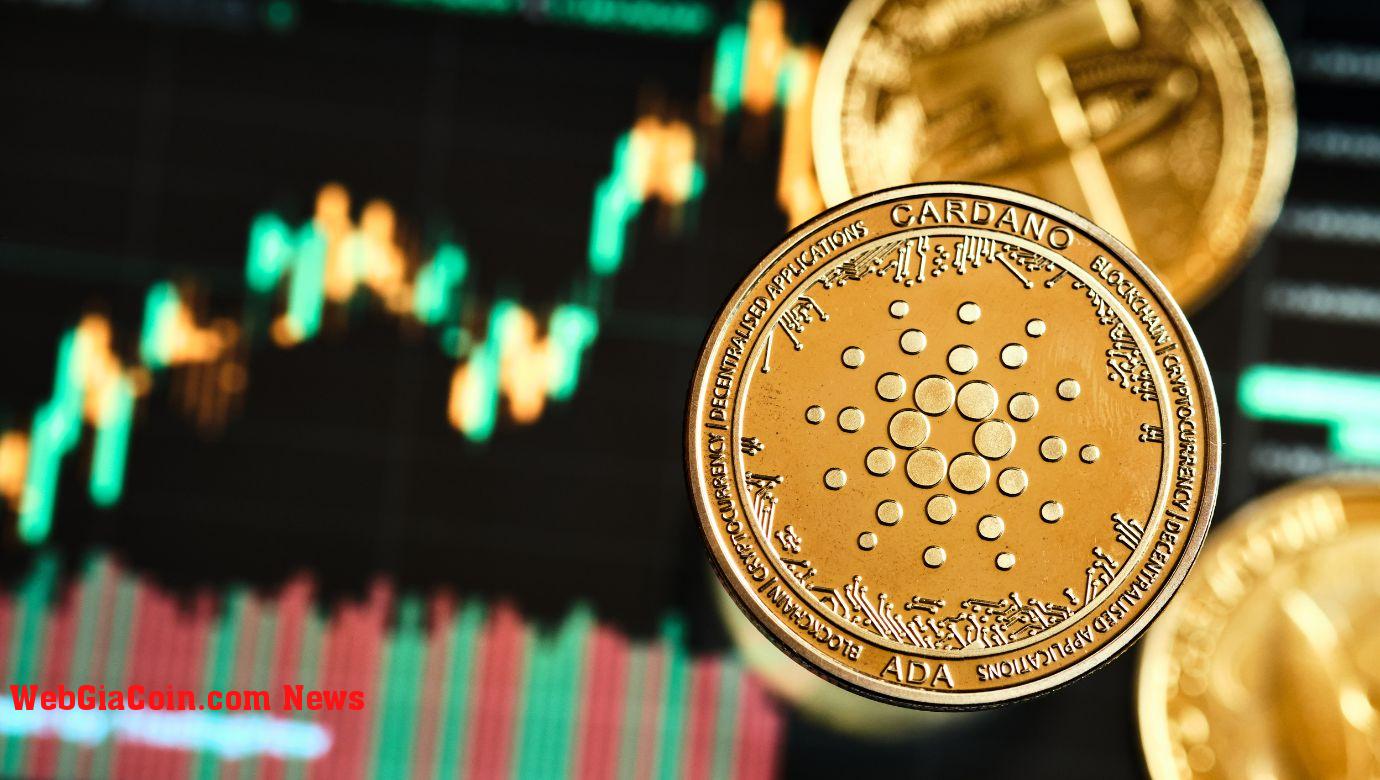 Người sáng lập Cardano: Chúng tôi đang tăng trưởng tự nhiên Giống như Bitcoin, liệu giá ADA có bùng nổ không?