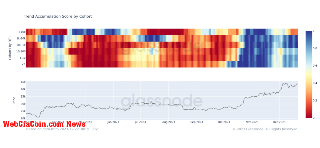 Accumulation Trend Score by cohort: (Source: Glassnode)