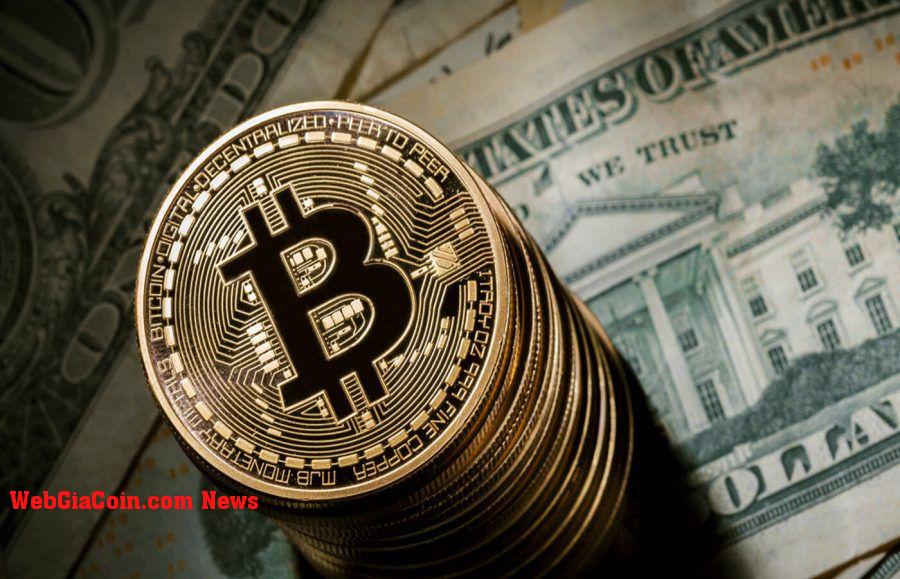 Tỷ phú Tim Draper dự đoán khi nào giá Bitcoin sẽ đạt 250.000 USD