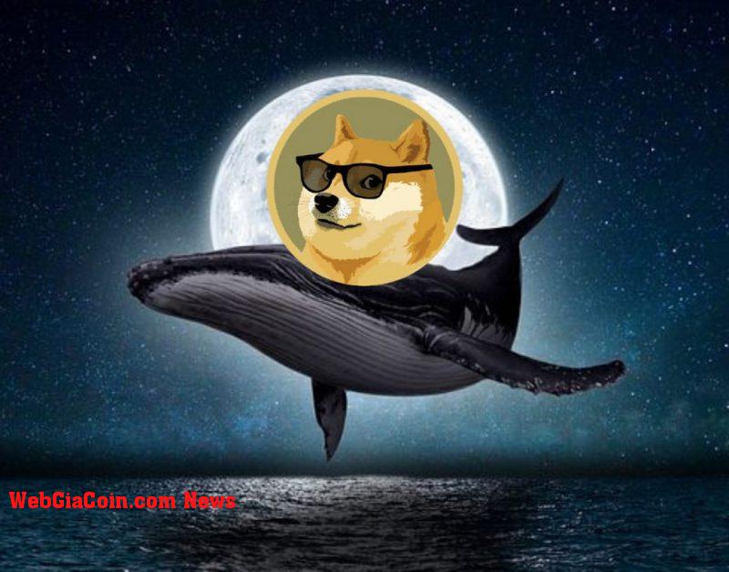 Cá voi Dogecoin chuyển 71 triệu DOGE sang Robinhood, điều này có ý nghĩa gì với giá cả?