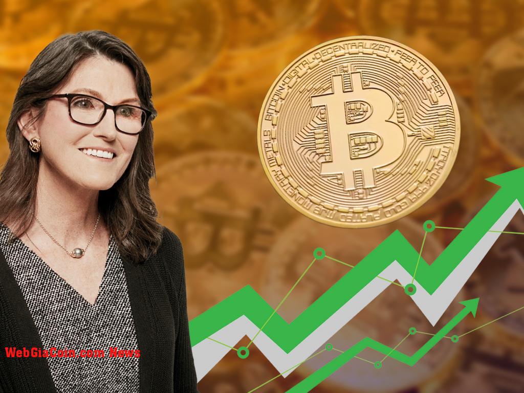 ARK Invest chuyển hướng sang Bitcoin khi Cathie Wood kỳ vọng giá BTC sẽ ...