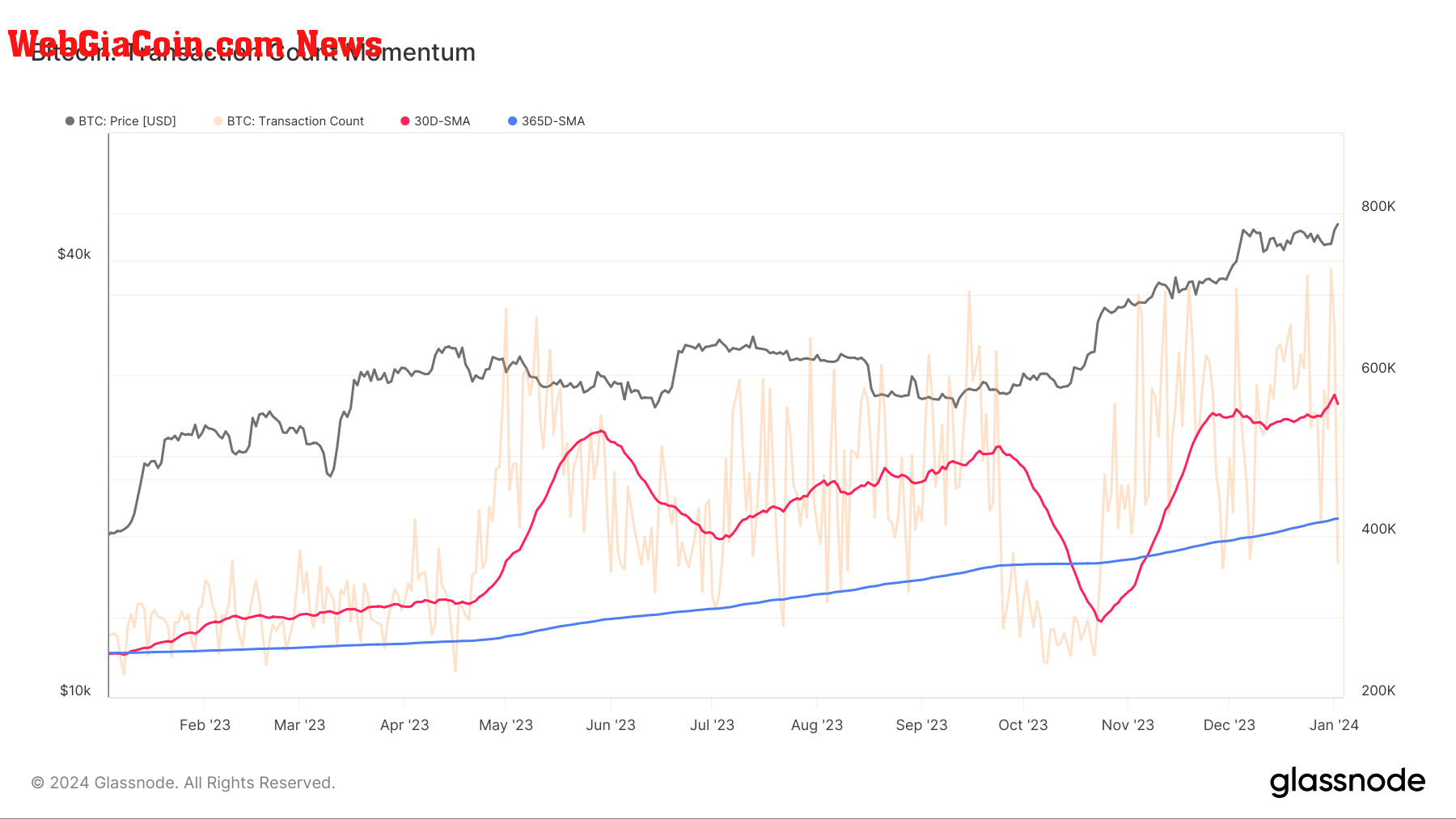 bitcoin transaction momentum 1y