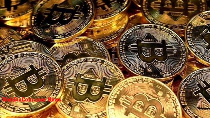 ETF hoặc Halving: Nhà phân tích tăng gấp đôi vào năm tăng giá của Bitcoin