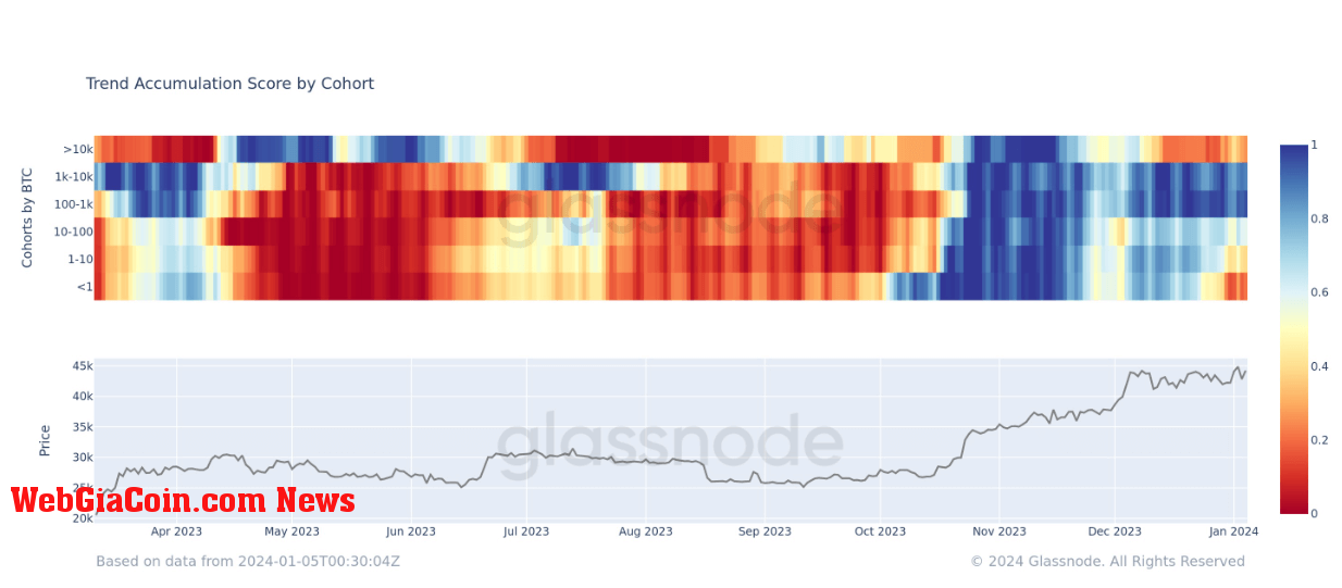 Accumulation Trend Score by cohort: (Source: Glassnode)