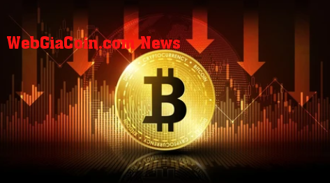 Giá Bitcoin có thể giảm xuống còn 37.000 USD trước Halving