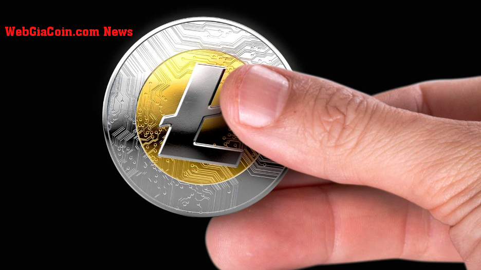 Shiba Inu (SHIB), Litecoin (LTC) hay Pushd (PUSHD)? Nhà phân tích hàng đầu dự đoán Pushd (PUSHD) là khoản đầu tư tốt nhất vào năm 2024